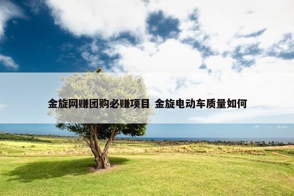 金旋网赚团购必赚项目 金旋电动车质量如何