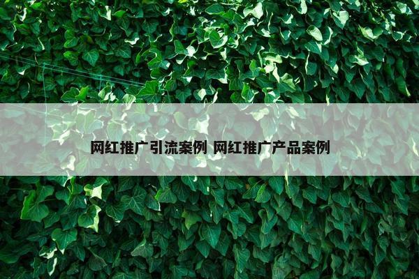 网红推广引流案例 网红推广产品案例