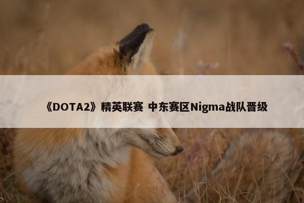 《DOTA2》精英联赛 中东赛区Nigma战队晋级