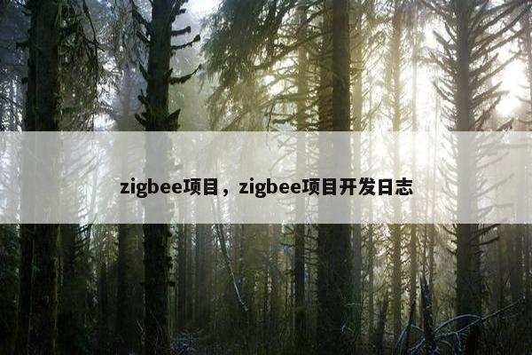 zigbee项目，zigbee项目开发日志