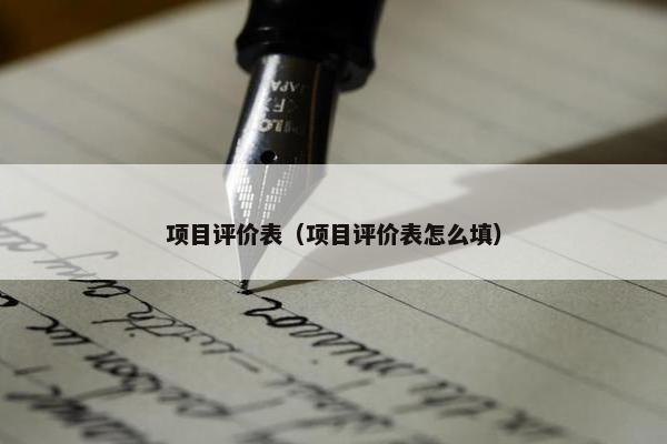 项目评价表（项目评价表怎么填）