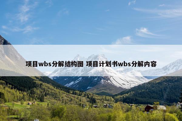 项目wbs分解结构图 项目计划书wbs分解内容