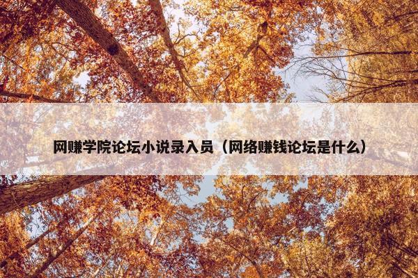 网赚学院论坛小说录入员（网络赚钱论坛是什么）