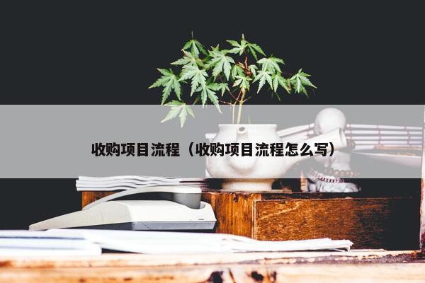 收购项目流程（收购项目流程怎么写）