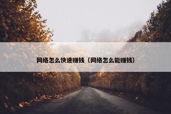 网络怎么快速赚钱（网络怎么能赚钱）