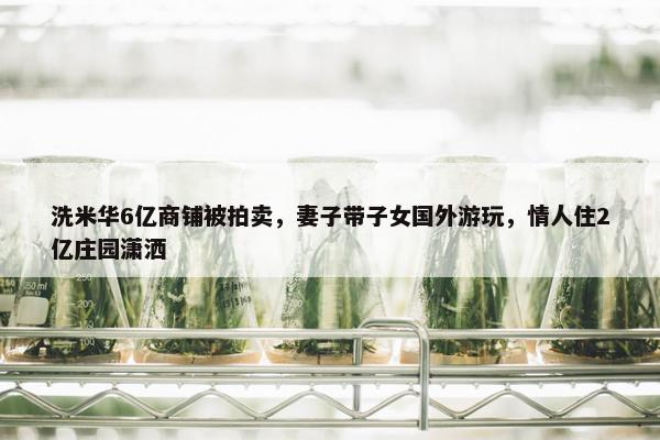 洗米华6亿商铺被拍卖，妻子带子女国外游玩，情人住2亿庄园潇洒