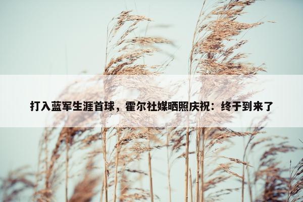 打入蓝军生涯首球，霍尔社媒晒照庆祝：终于到来了